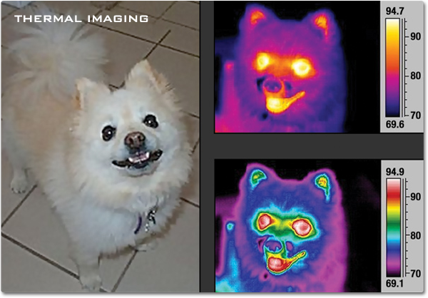 Trung tâm dữ liệu