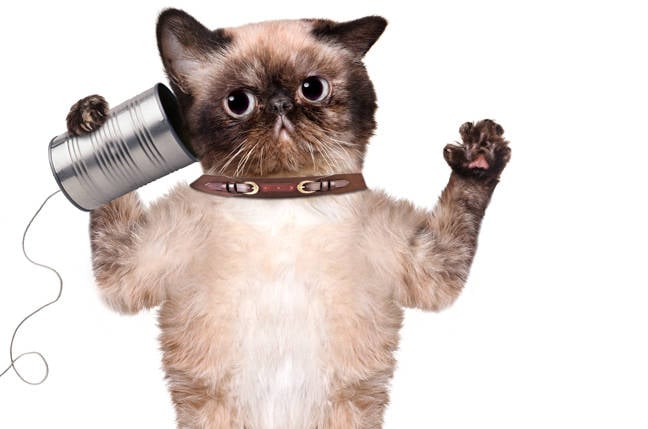 AI tìm kiếm đang "nguyên tử hóa" thông tin, cảnh báo nhà thiết kế chính phủ Anh