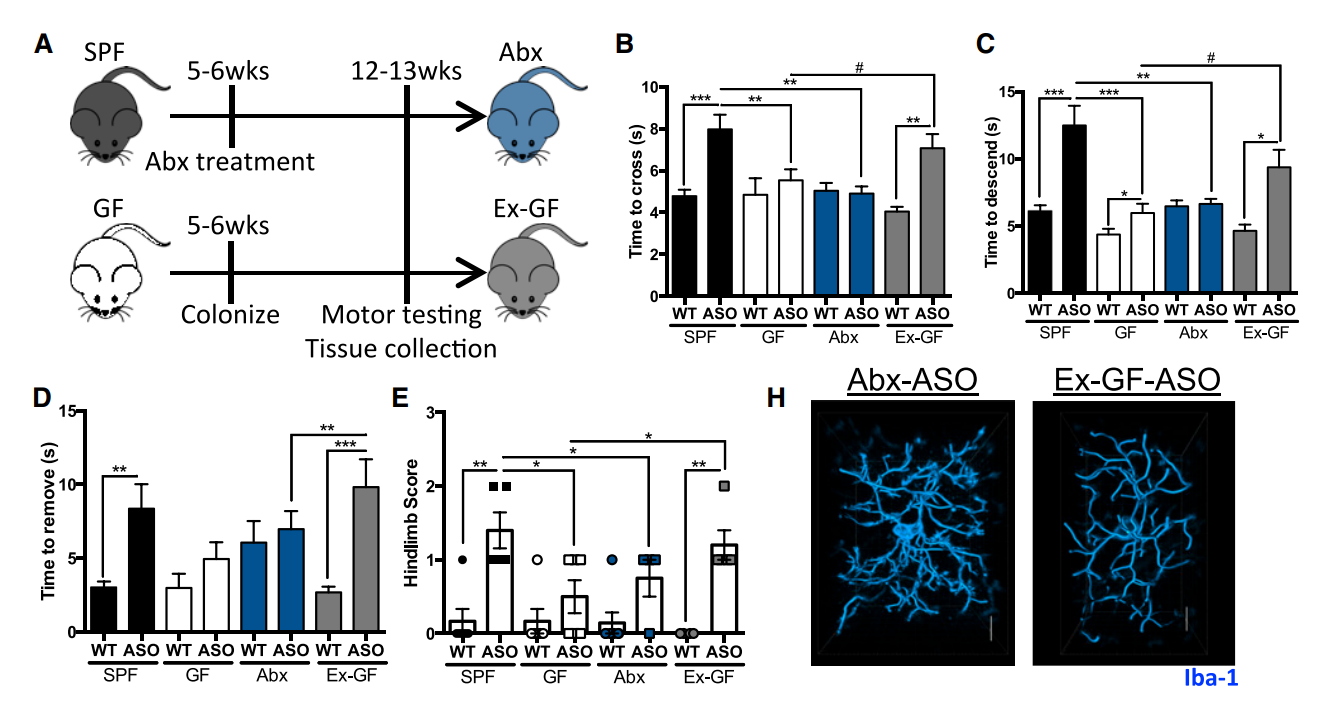 Biểu đồ dữ liệu trong nghiên cứu Parkinson