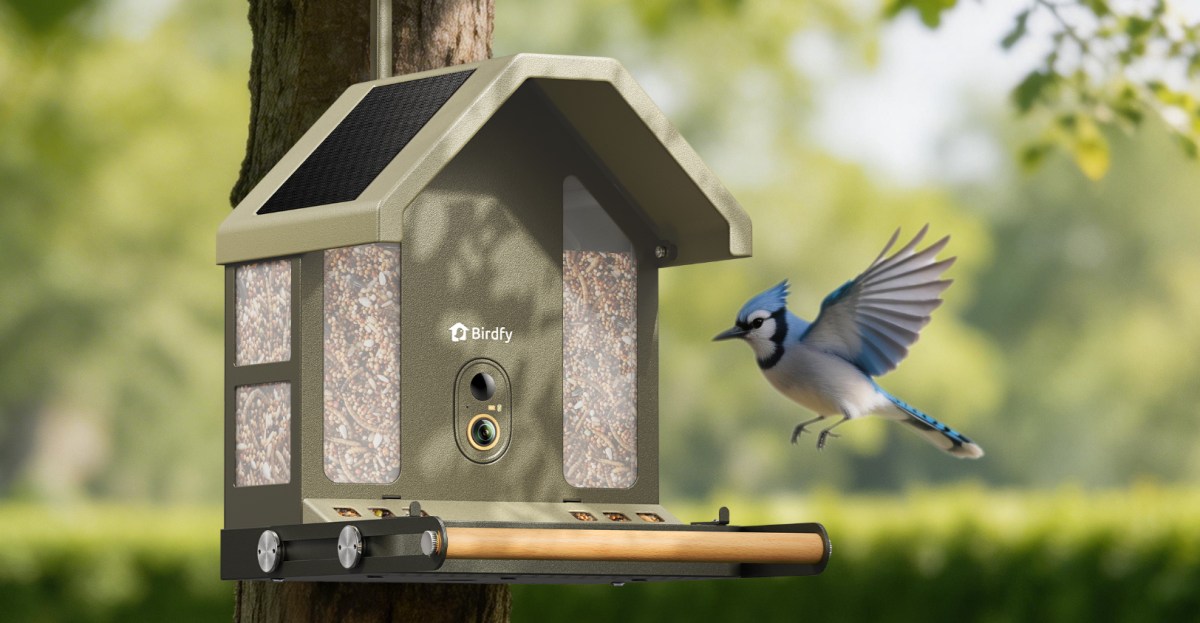 Birdfy ra mắt máng ăn chim 4K mới: Không chỉ quay phim mà còn dạy bạn về loài chim nhờ AI