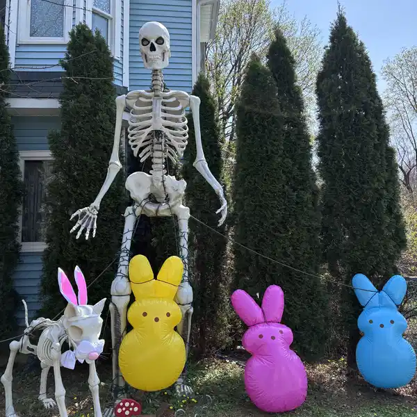 Hình ảnh chủ đề