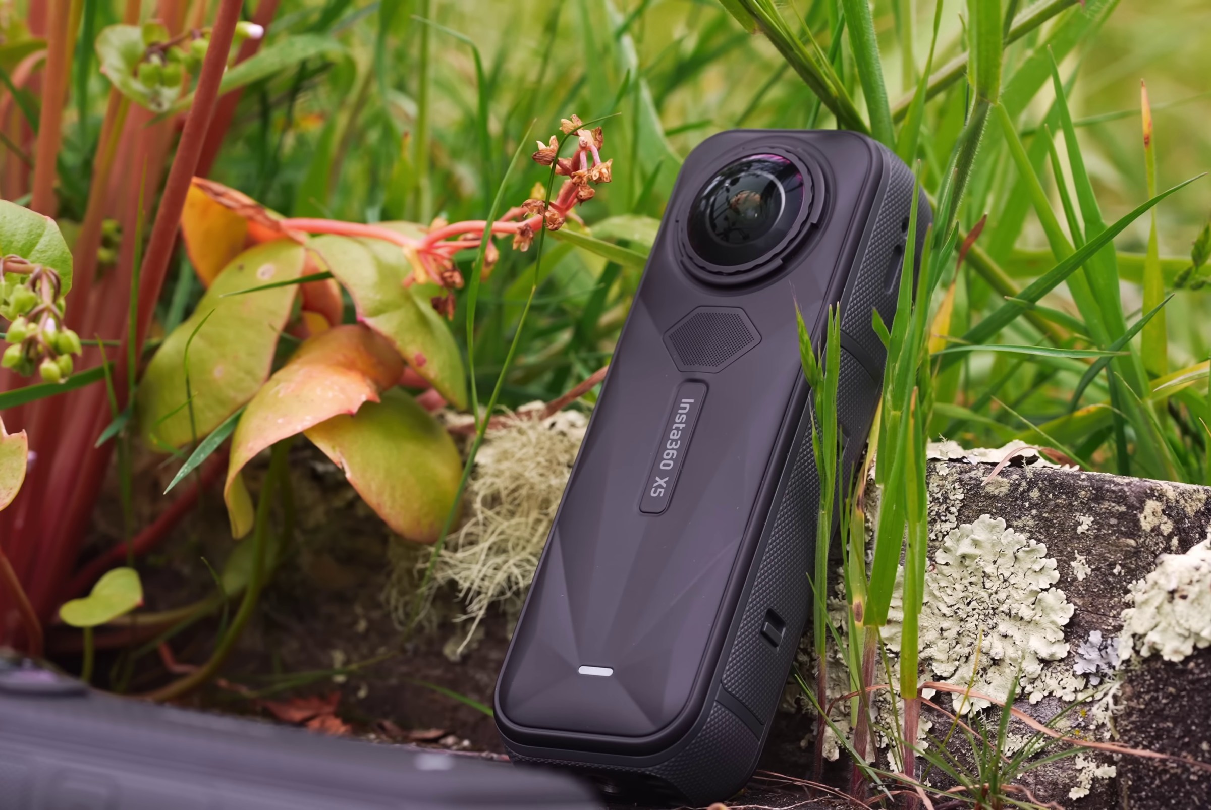 Mô tả hình ảnh