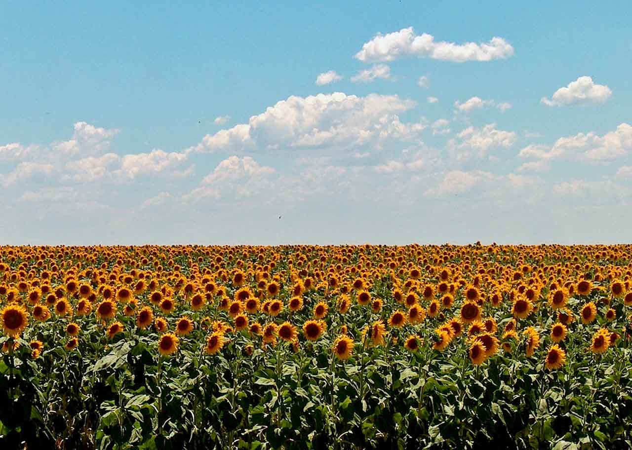 S3 Files: Bước tiến mới trong việc truy cập dữ liệu trên Amazon S3