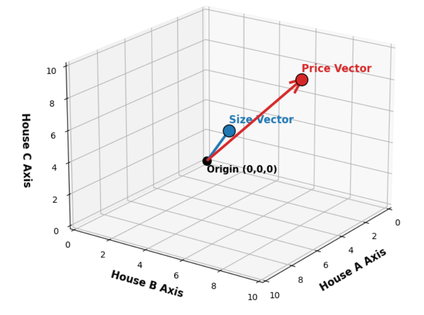 Các vector biểu diễn kích thước và giá trị trong không gian 3 chiều