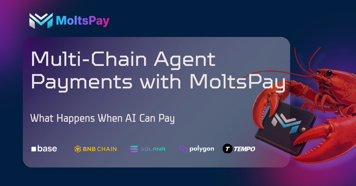 Thanh toán đa chuỗi cho AI Agent với MoltsPay: Hỗ trợ Base, Polygon, Solana