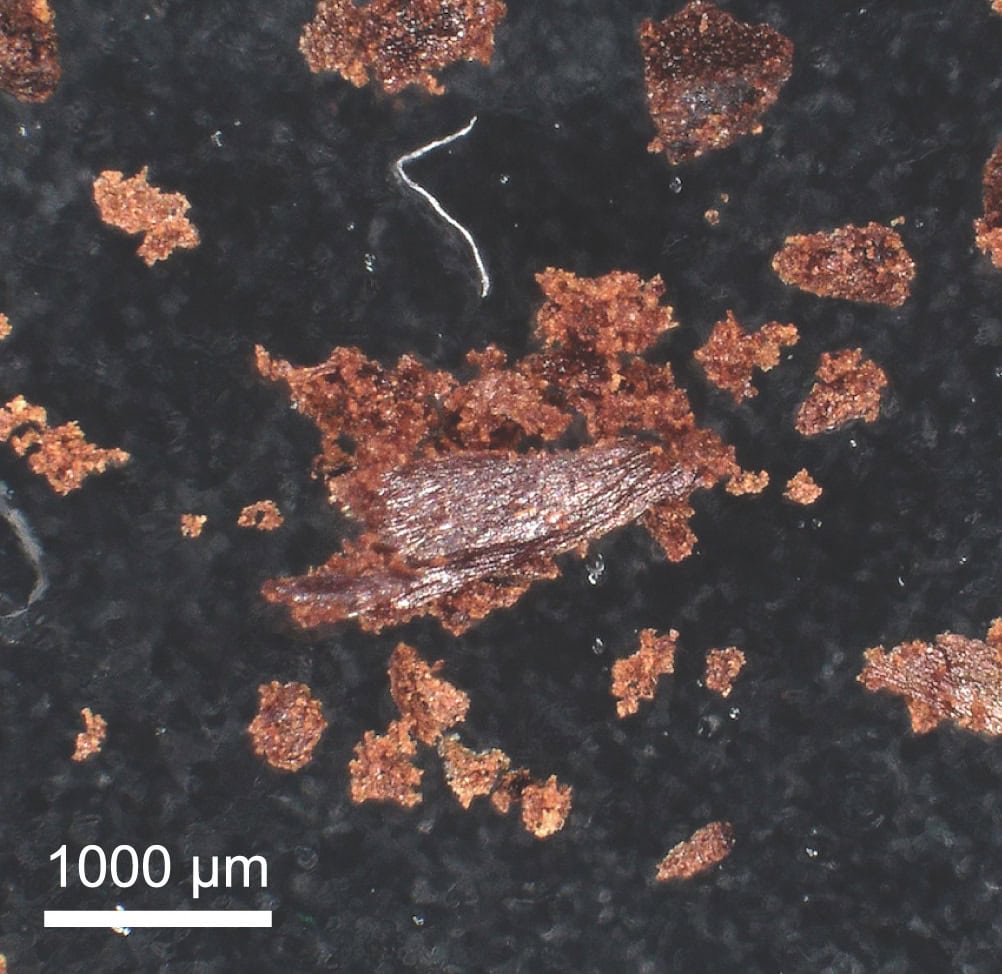 Cục bã cà phê do tĩnh điện