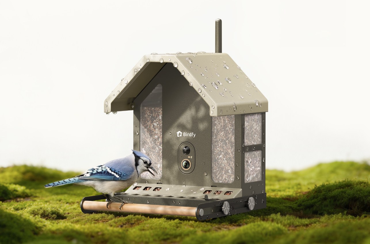 Máng ăn chim hoạt động ngoài trời