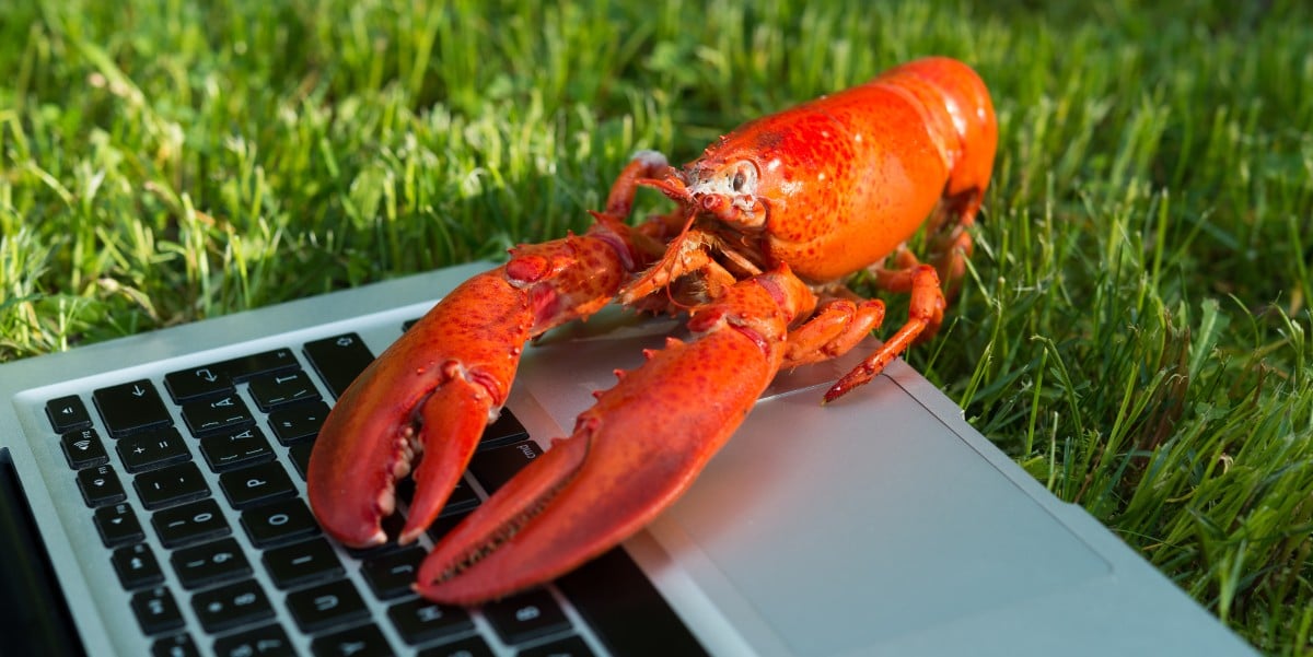 30 kỹ năng ClawHub âm thầm biến tác nhân AI thành bầy đàn đào tiền ảo