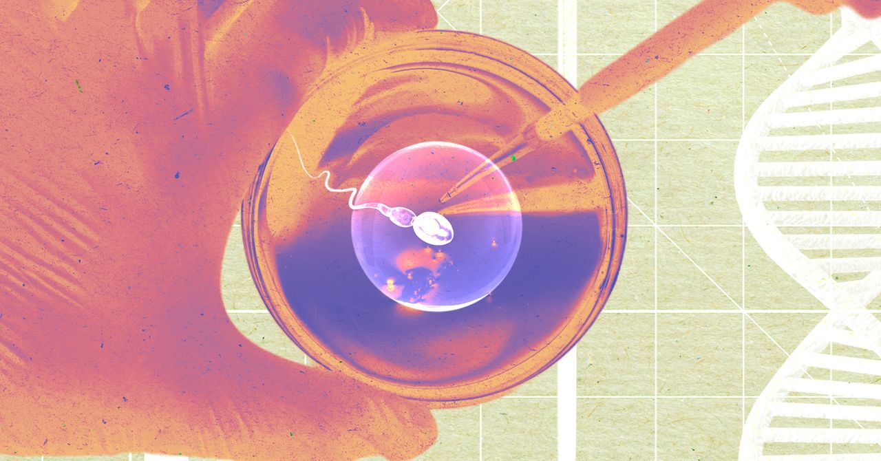 Startup công nghệ tạo đột phá: Nuôi cấy thành công tinh trùng người trong phòng thí nghiệm