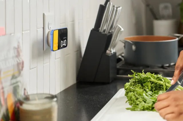 Twelve South PowerBug