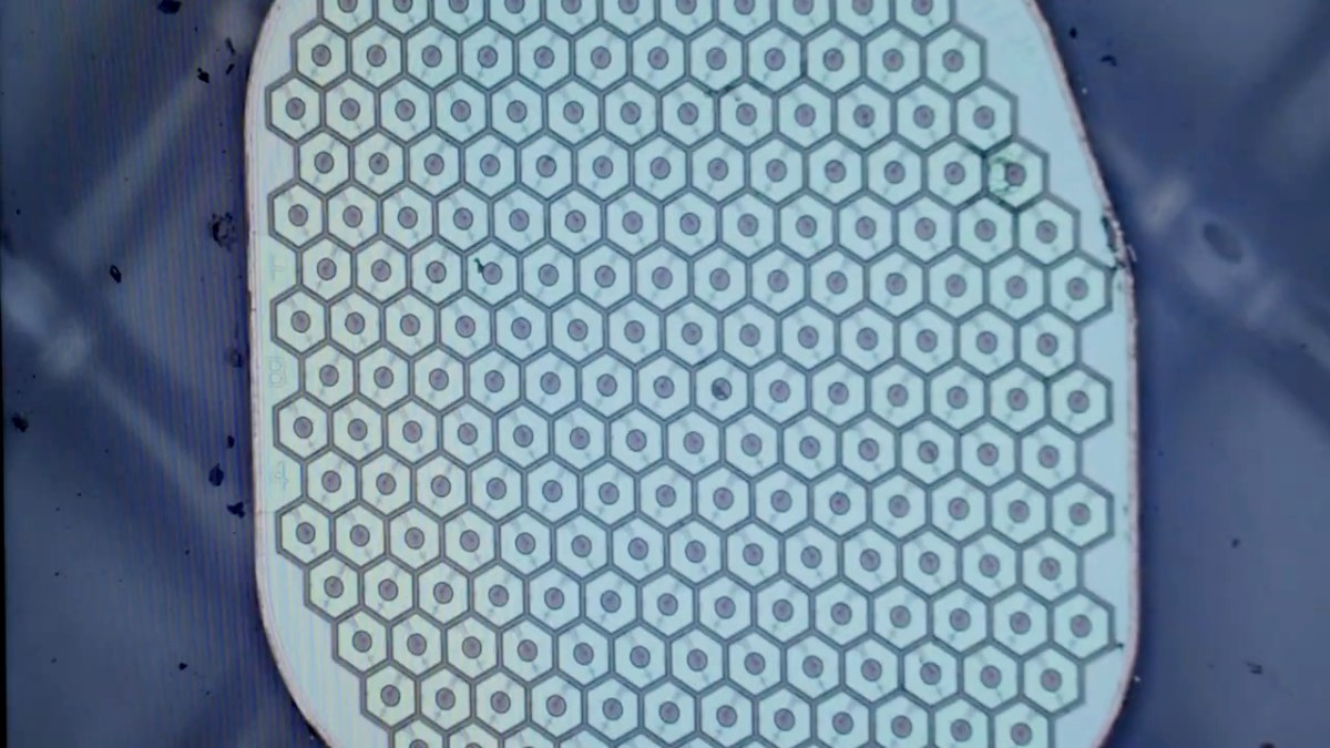 Science Corp. của Max Hodak chuẩn bị cấy cảm biến đầu tiên vào não người