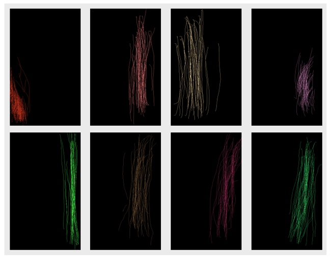 Hành Vi: Chứng Thực Mới Trong Kỷ Nguyên An Ninh Số