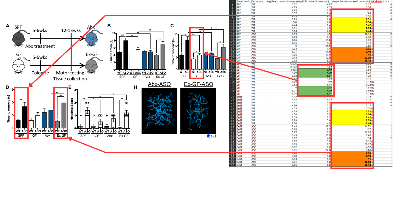 Dữ liệu trùng lặp giữa Đà điểu và Rắn