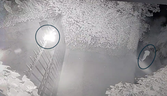 Nghi phạm tấn công nhà Sam Altman - ảnh: DoJ