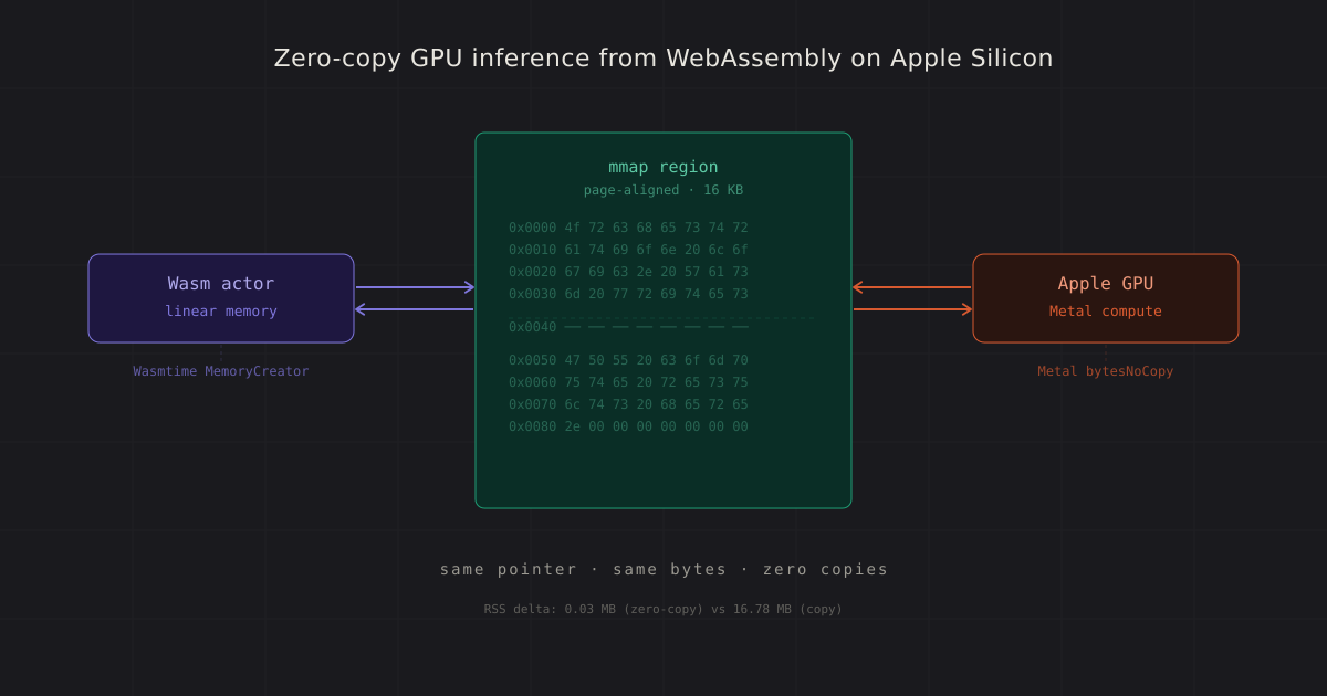 Driftwood: Zero-copy GPU inference từ WebAssembly trên chip Apple Silicon