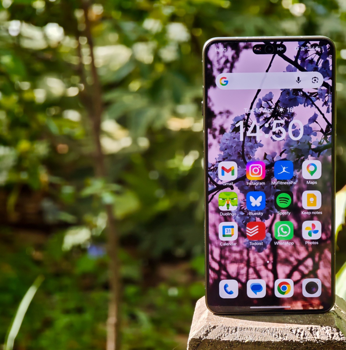 Chi tiết cụm camera và logo Hasselblad