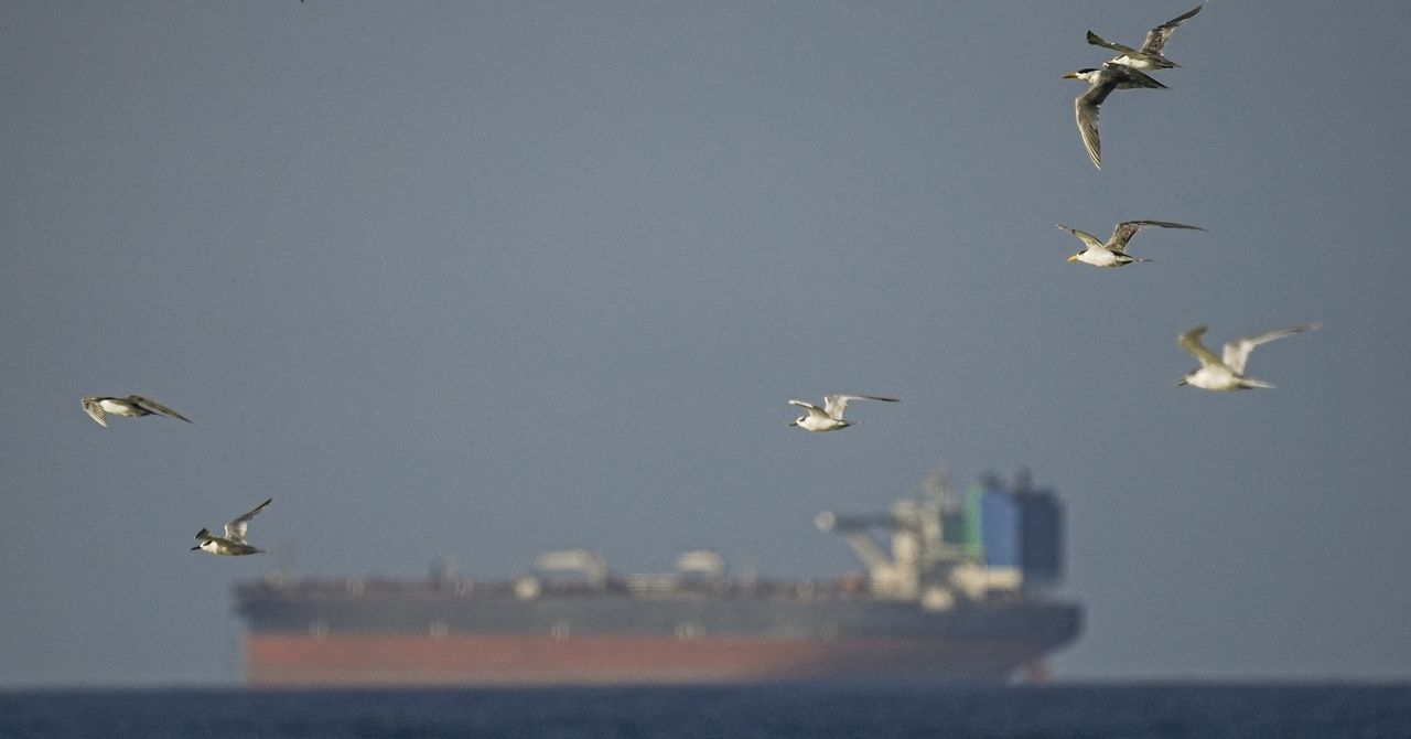 Tàu chở dầu giả mạo tín hiệu tràn ngập eo biển Hormuz: Các nhà phân tích đang truy dấu chúng như thế nào