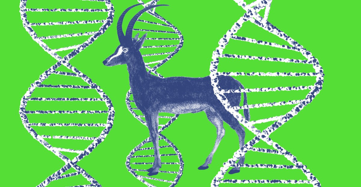 Dự án "hồi sinh" động vật tuyệt chủng của startup Colossal có thực sự khả thi?