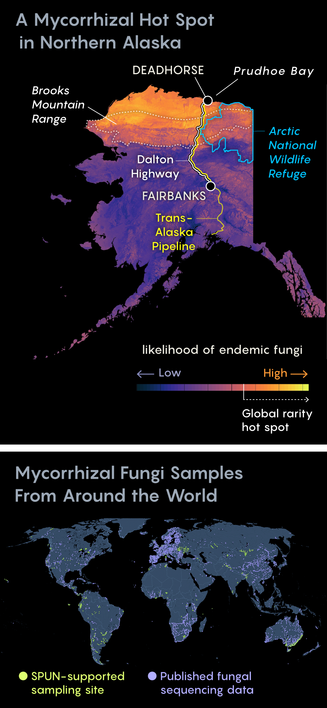 Bản đồ dự đoán các điểm nóng nấm mycorrhizal bằng thuật toán