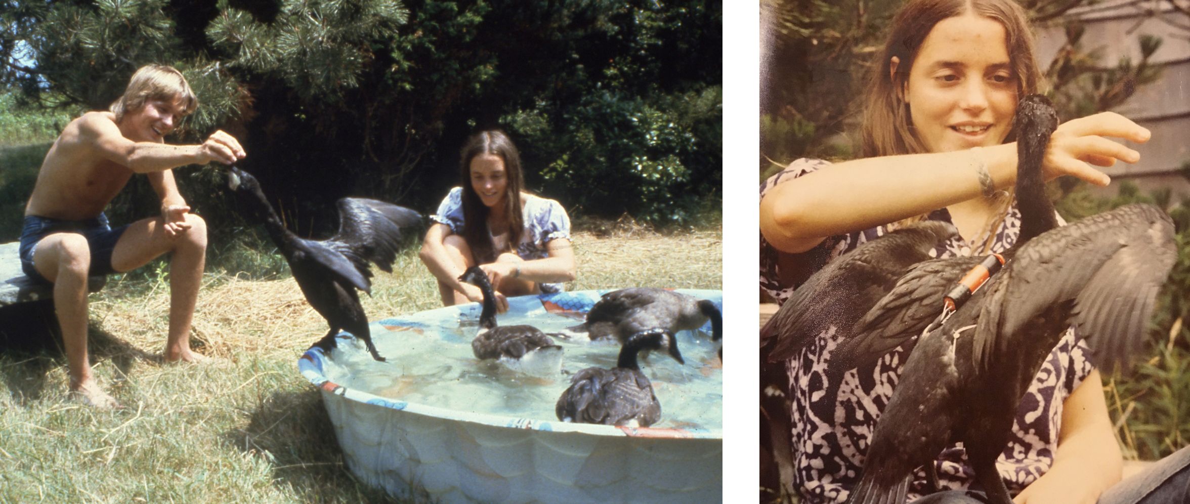 Từ những con chim đến trí tuệ nhân tạo: Hành trình tìm kiếm vùng não nhận diện khuôn mặt