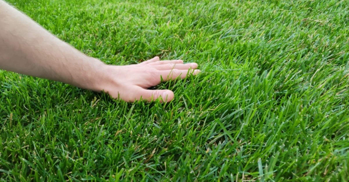 Người Anh đang dần chán ngán việc đăng tải mọi suy nghĩ lên mạng xã hội