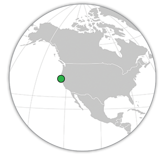 Ngỗng được gắn thiết bị theo dõi GPS