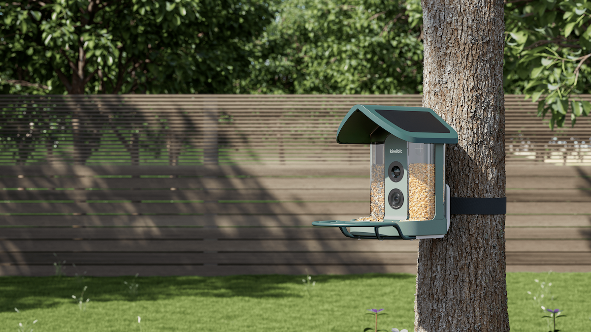 Kiwibit Bird Feeder Pro: Máy cho chim thông minh trở thành "người bạn" sân sau của tôi
