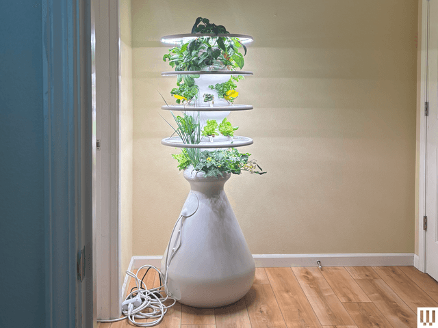 Lettuce Grow Farmstand