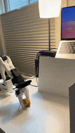 Robot nhặt vật thể