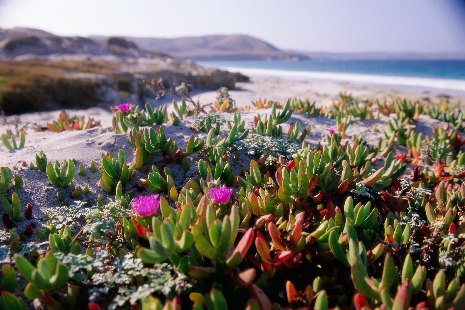 Nature landscape