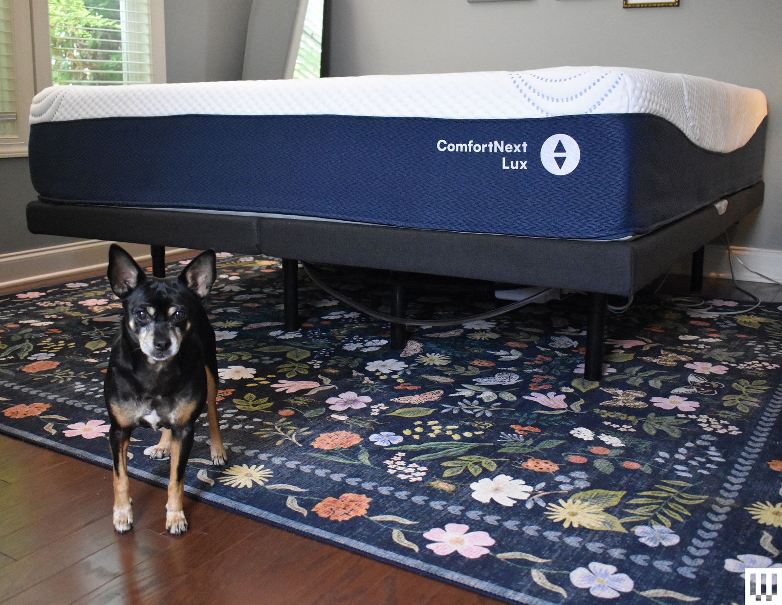 Sleep Number ComfortNext Lux
