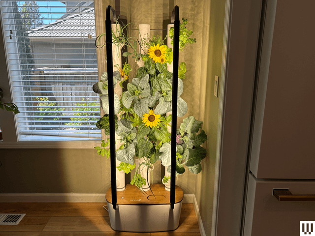 Gardyn Home 4.0
