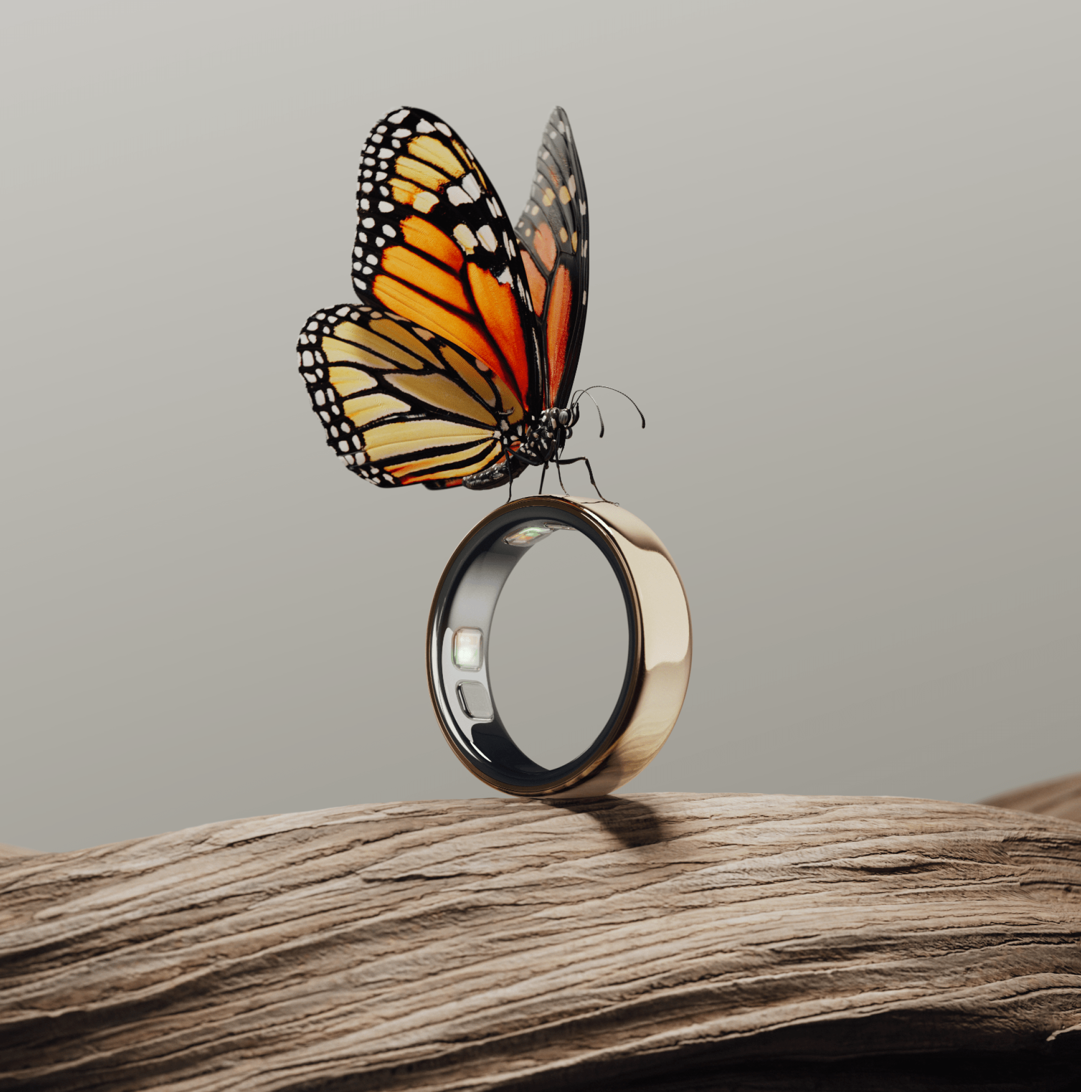 Oura Ring 5 phiên bản màu mới