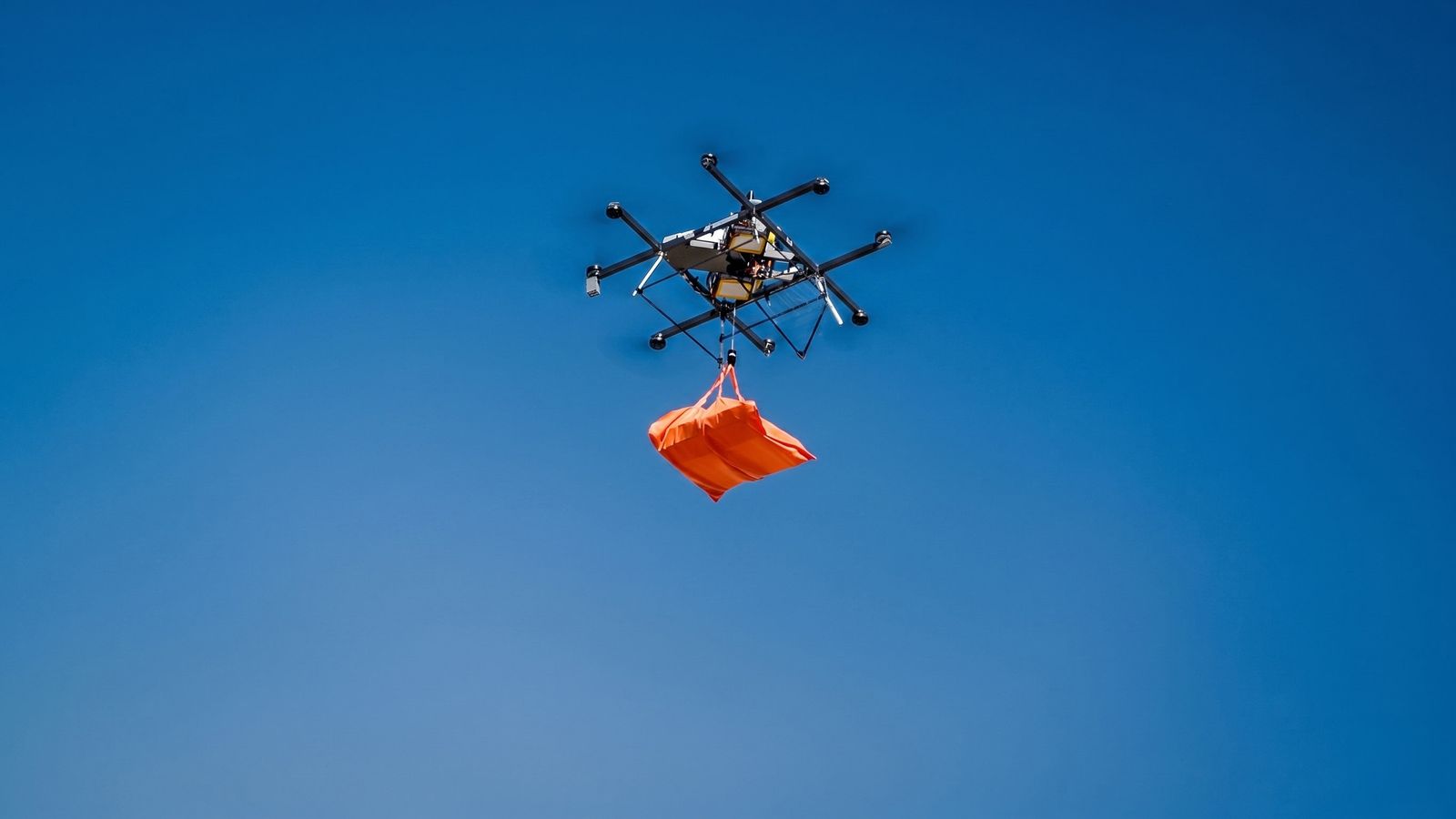 Máy bay không người lái Flytrex Sky2 được thiết kế để vận chuyển pizza