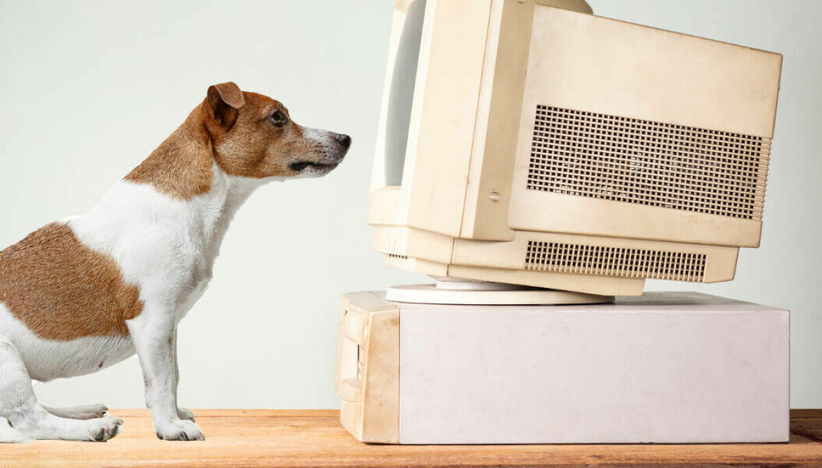 AWS để AI điều khiển máy tính ảo: Một cú click chuột có thể ngốn 500.000 token