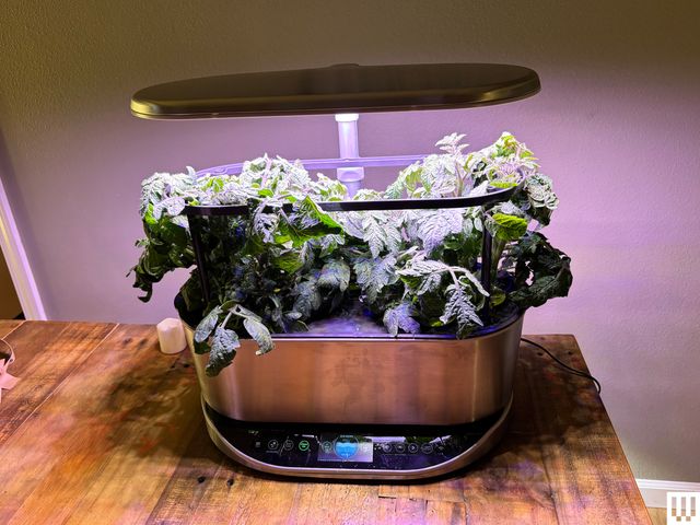 AeroGarden Bounty