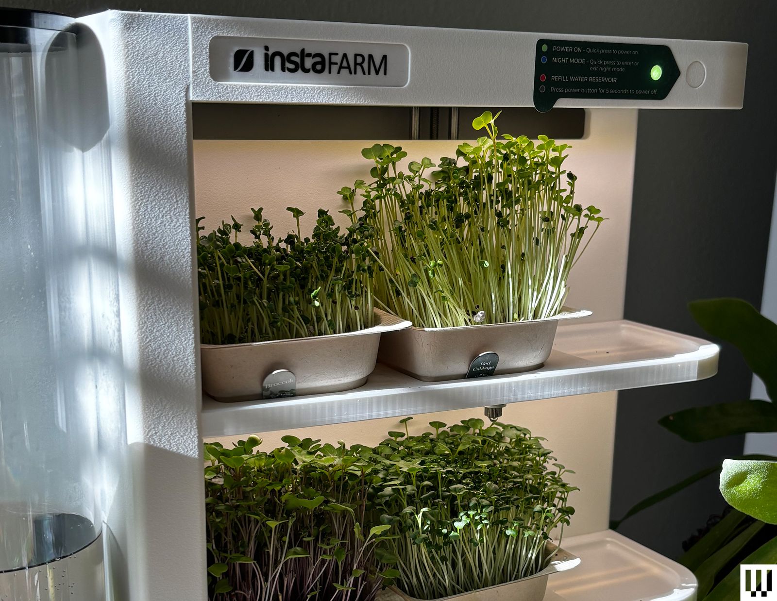 Instafarm Automated Indoor Microgreens Garden plenty of greens