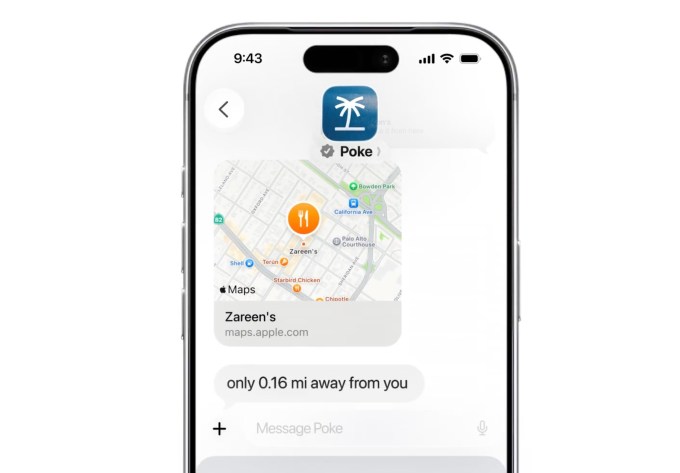 Giao diện và mô hình kinh doanh của Poke
