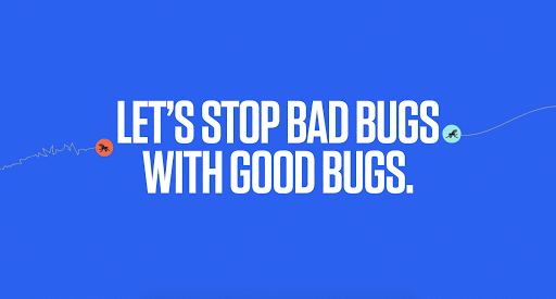 Debug Project: Công nghệ muỗi "tốt" chiến đấu chống lại muỗi gây bệnh
