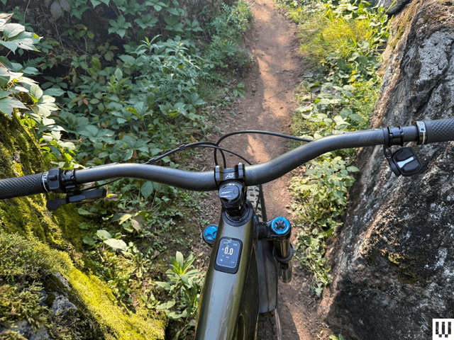 Specialized S-Works Levo 4