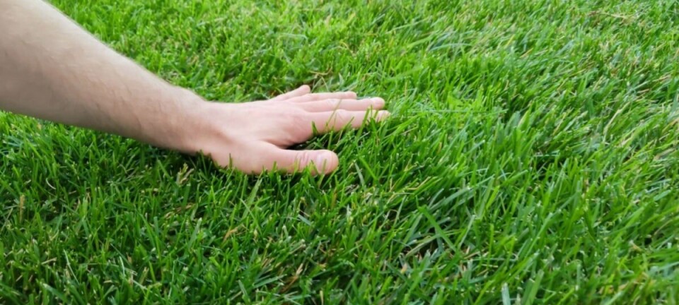 Mạng di động trên tàu