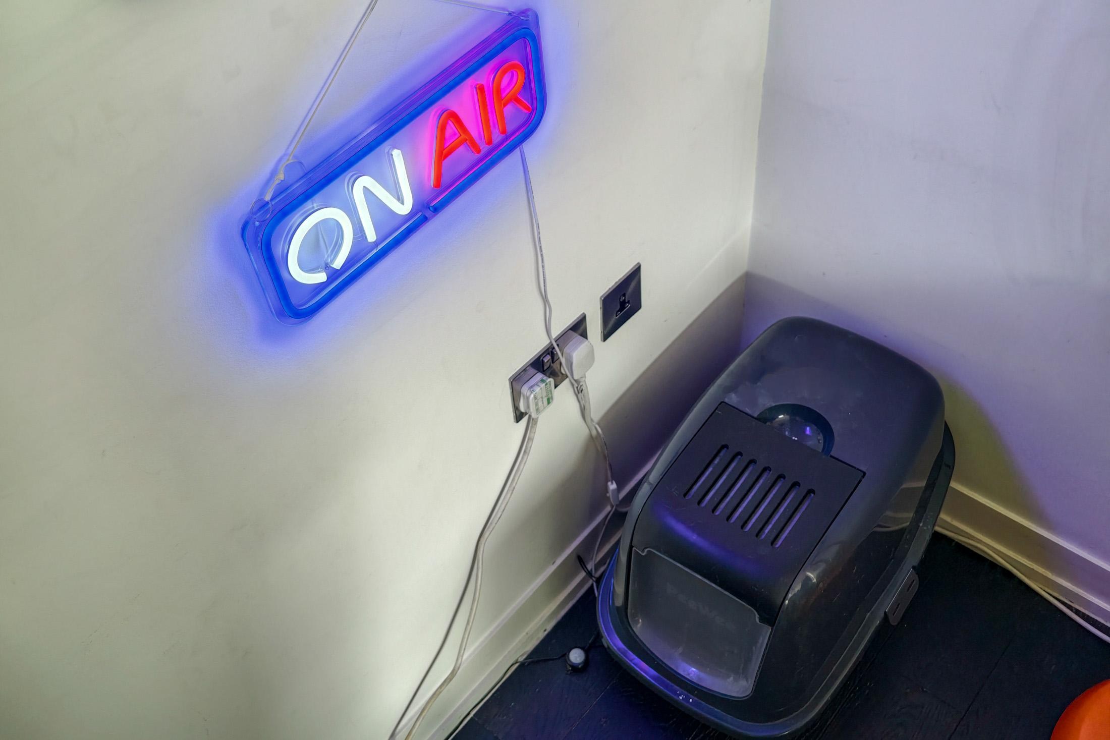 Hai chú mèo Noodle và Loaf bên cạnh khay vệ sinh có gắn bảng hiệu neon