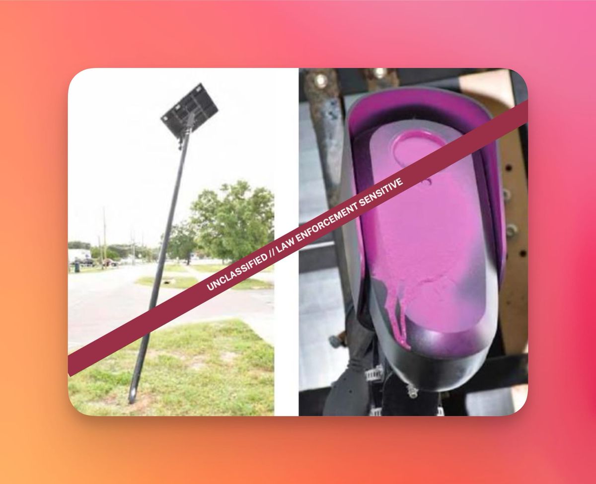 Chính phủ Mỹ theo dõi các tài khoản TikTok và Instagram chống đối camera Flock
