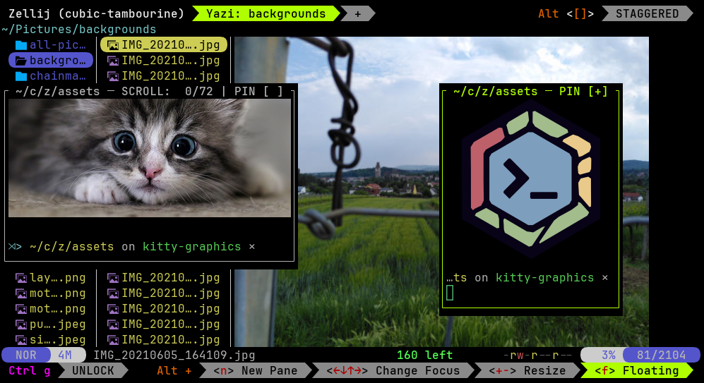 Kitty graphics protocol trong Zellij