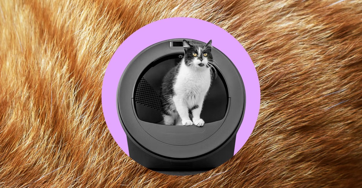 Robot vệ sinh cát vệ sinh AI của Whisker nhầm lẫn mèo của tôi
