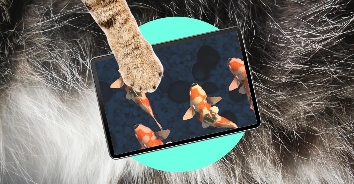 iPad kid mèo: Giải pháp công nghệ giải trí cho thú cưng hiếu động