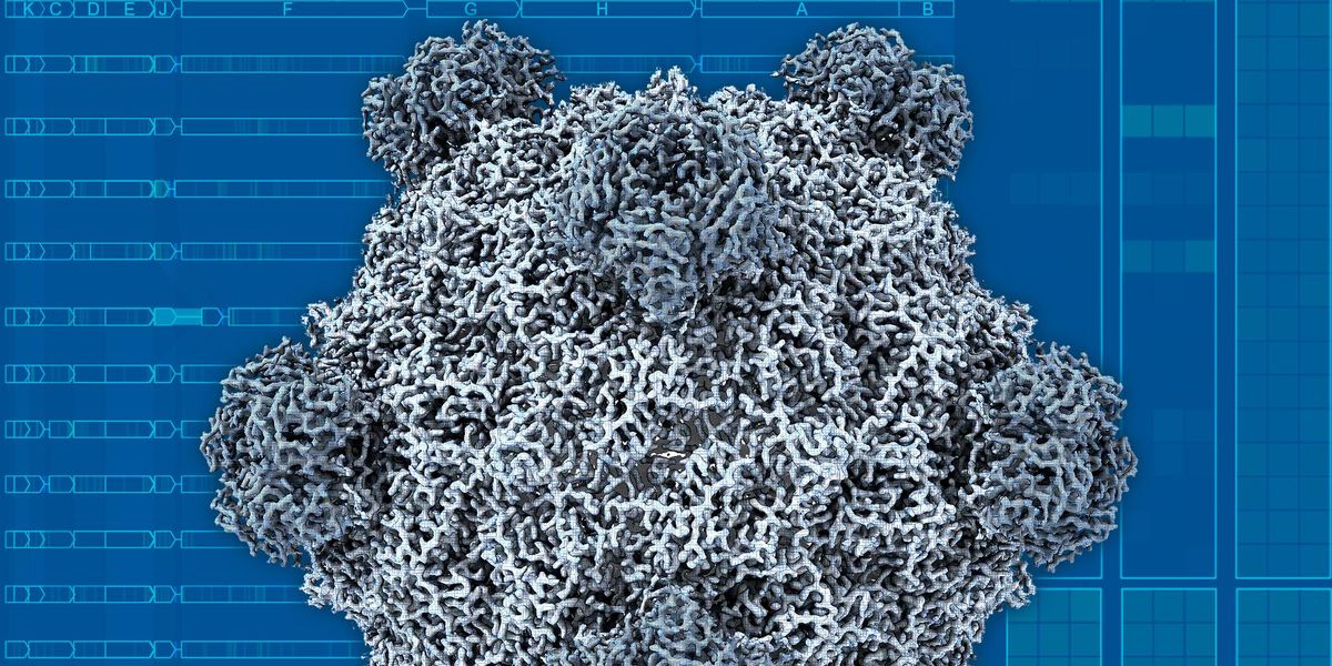AI Giờ Đây Có Thể Thiết Kế Virus Chức Năng. Chúng Ta Có Nên Lo Lắng?