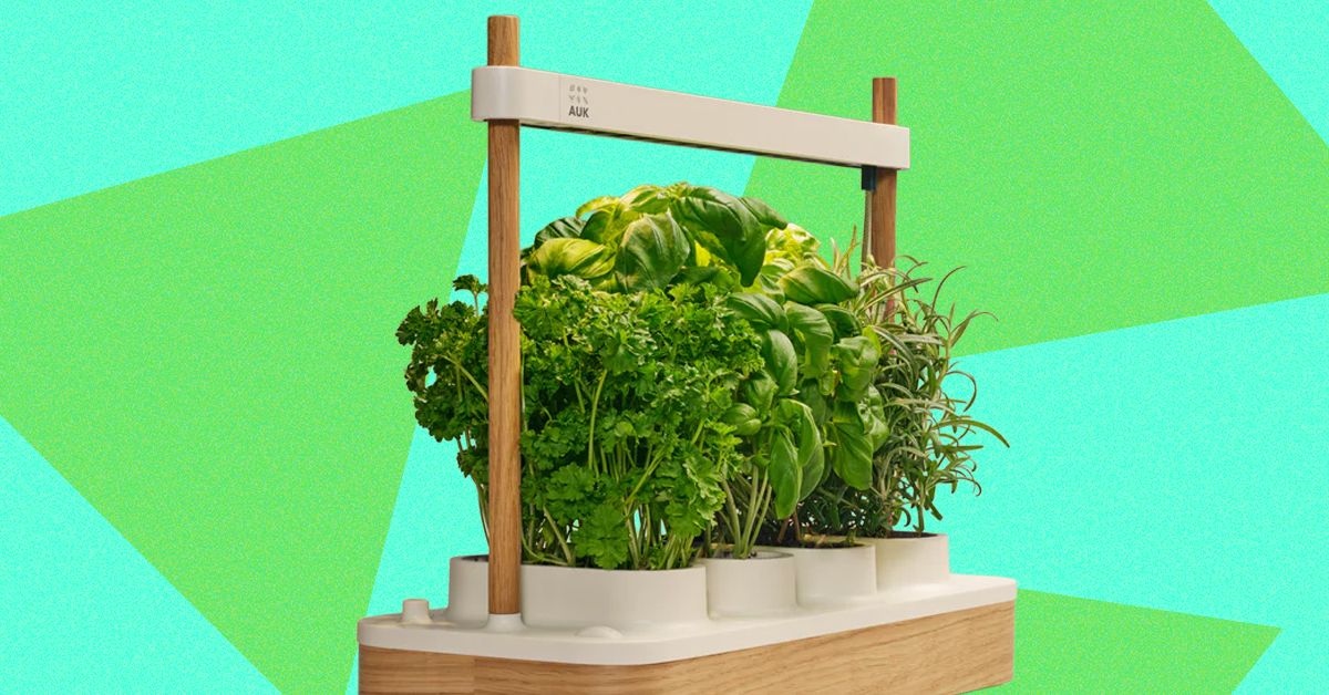 Đánh giá Auk Mini 2: Vườn thông minh trong nhà cải tiến vượt trội