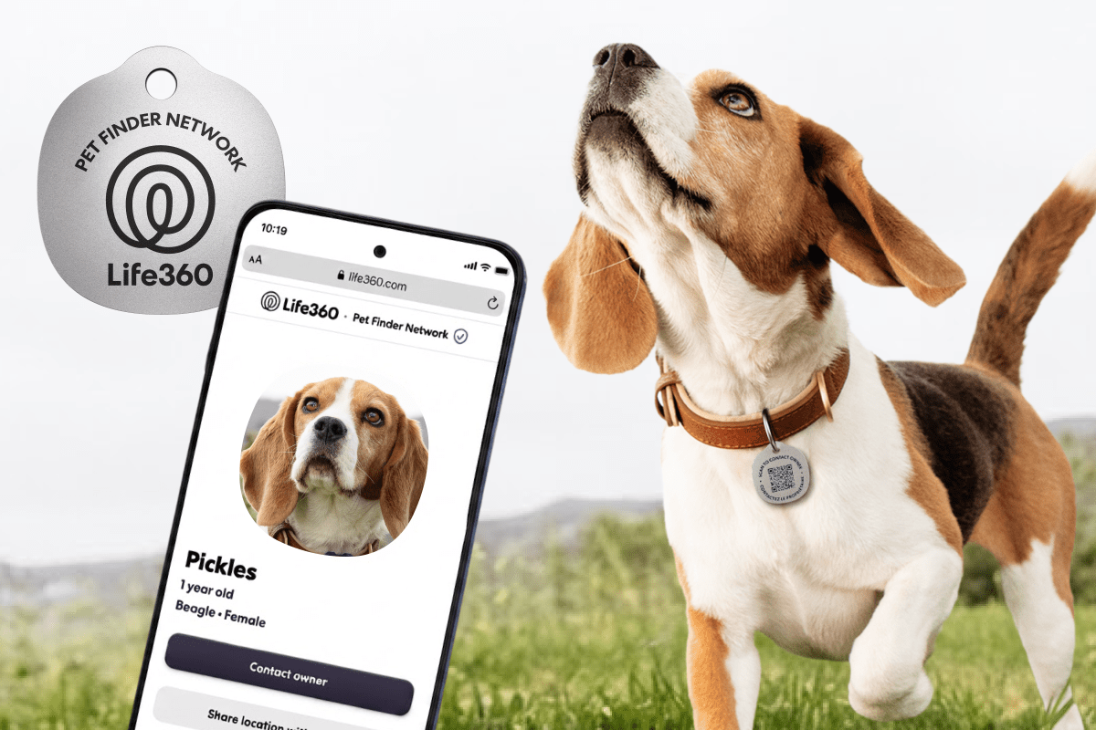 Life360 mở rộng tính năng theo dõi thú cưng với thẻ quét mới giá 8 USD và cảnh báo zoomie
