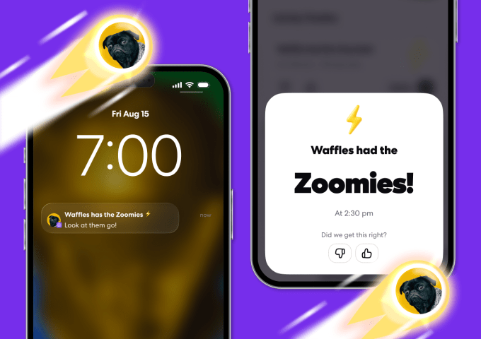 Tính năng cảnh báo Zoomies cho GPS tracker